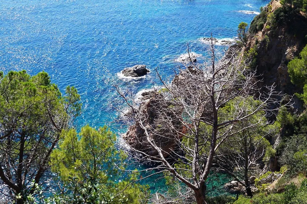 Hotel Delfin Tossa de Mar